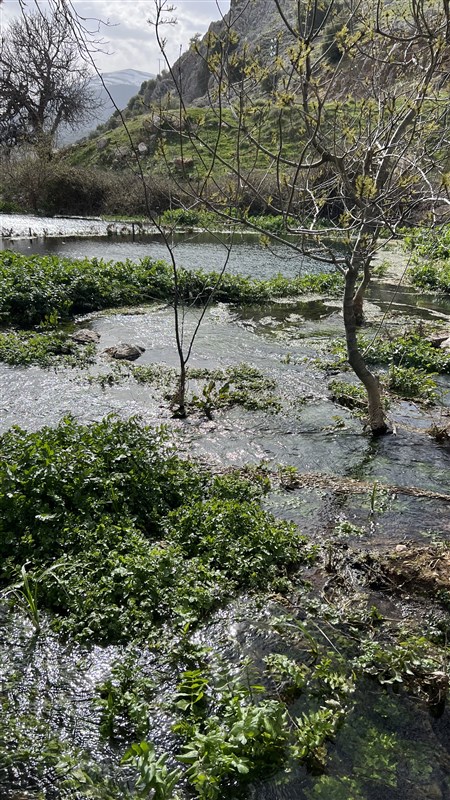 Trekking Lebanon: Exploring the Country's Beautiful Nature Reserves
